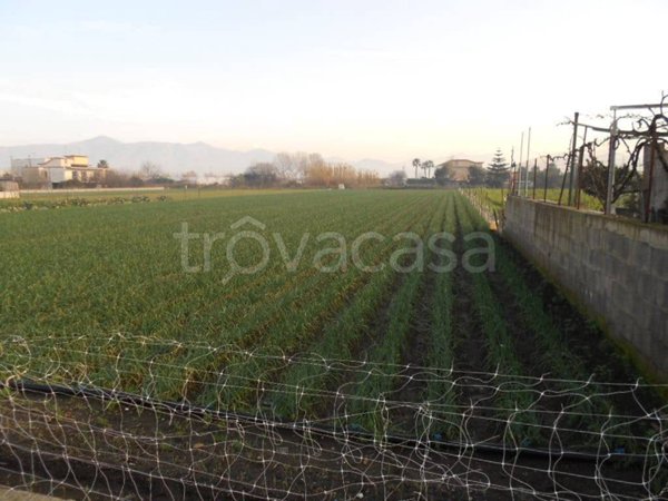 terreno agricolo in vendita a Scafati in zona Centro Città