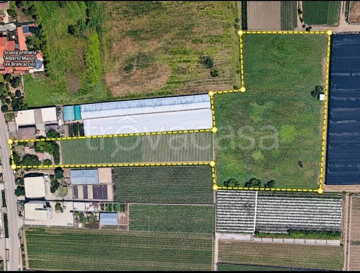 terreno agricolo in vendita a Scafati in zona Berardinetti