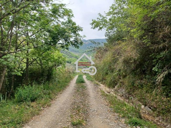 terreno agricolo in vendita a Serramezzana