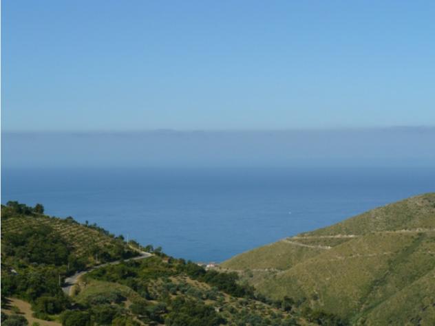 terreno agricolo in vendita a Serramezzana