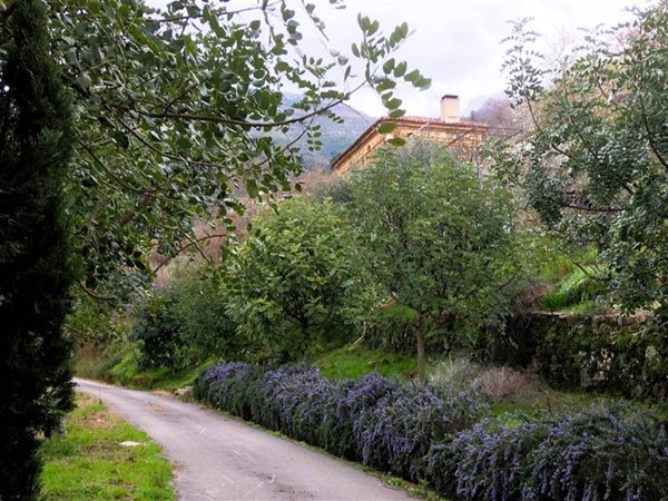 casa indipendente in vendita a Serramezzana