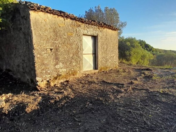 terreno agricolo in vendita a Serramezzana in zona San Teodoro