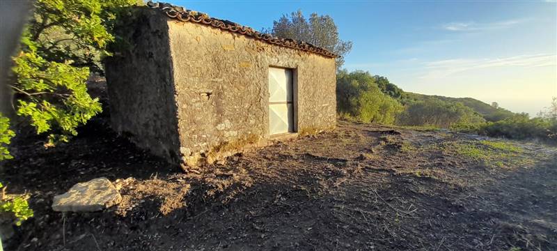 terreno agricolo in vendita a Serramezzana in zona San Teodoro