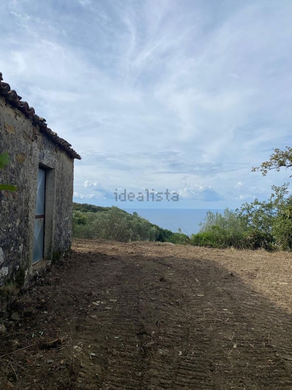 terreno agricolo in vendita a Serramezzana in zona San Teodoro