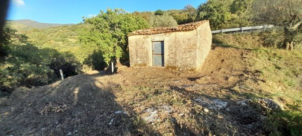 terreno agricolo in vendita a Serramezzana in zona San Teodoro