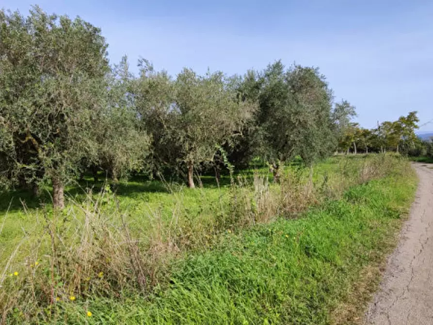 attico in vendita a Serre in zona Persano