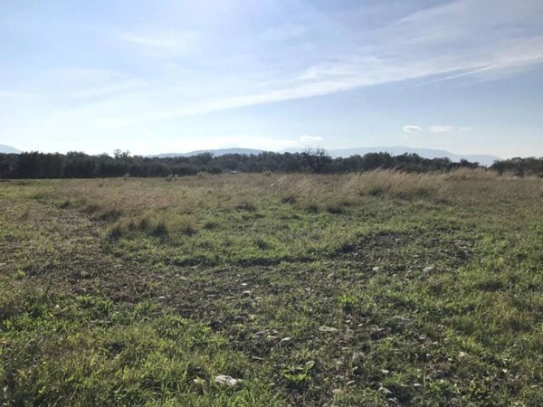 terreno agricolo in vendita a Serre