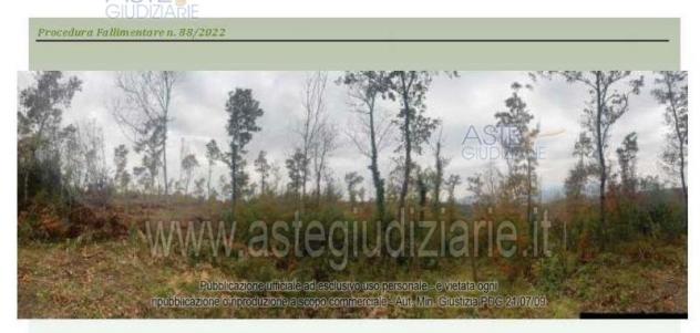 villa in vendita a Serre