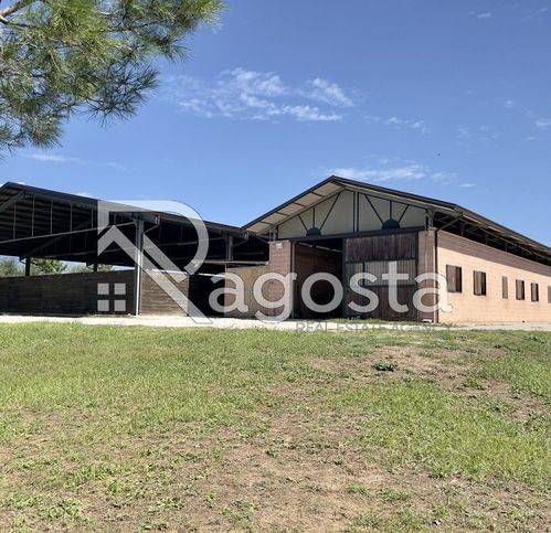 casa indipendente in vendita a Serre in zona Persano