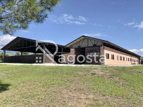 casa indipendente in vendita a Serre in zona Persano