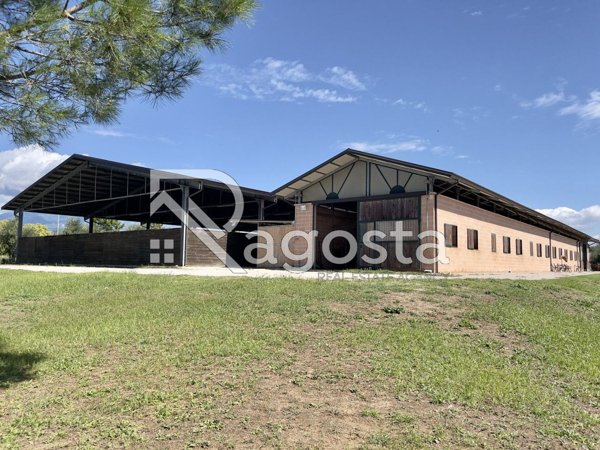 casa indipendente in vendita a Serre in zona Persano