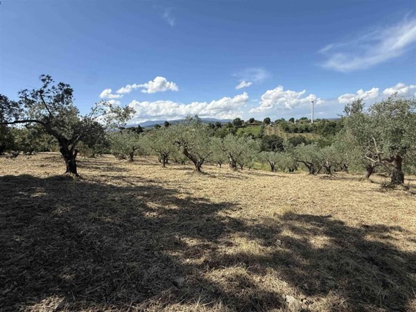 terreno agricolo in vendita a Serre