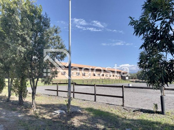 terreno agricolo in vendita a Serre
