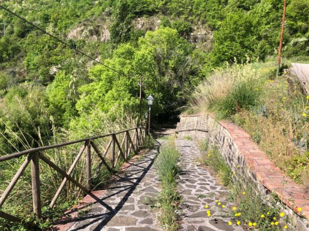 terreno agricolo in vendita a Sessa Cilento