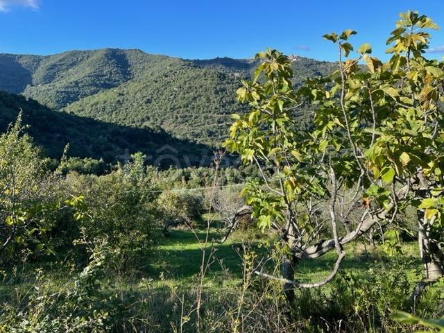 terreno agricolo in vendita a Sessa Cilento in zona San Mango