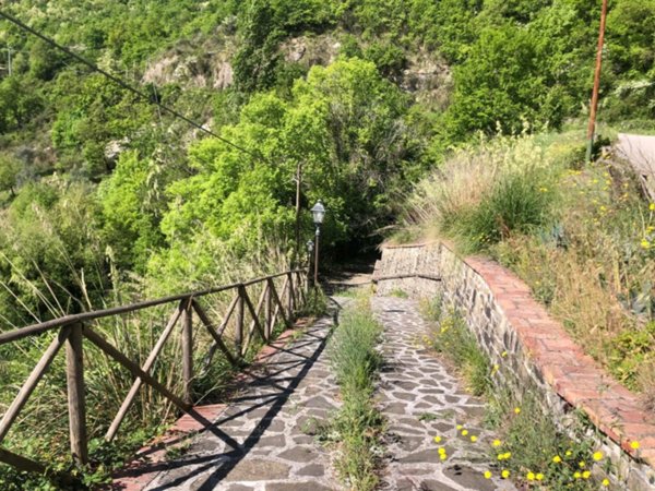 terreno agricolo in vendita a Sessa Cilento