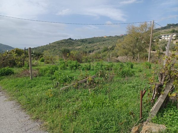 terreno edificabile in vendita a Sessa Cilento