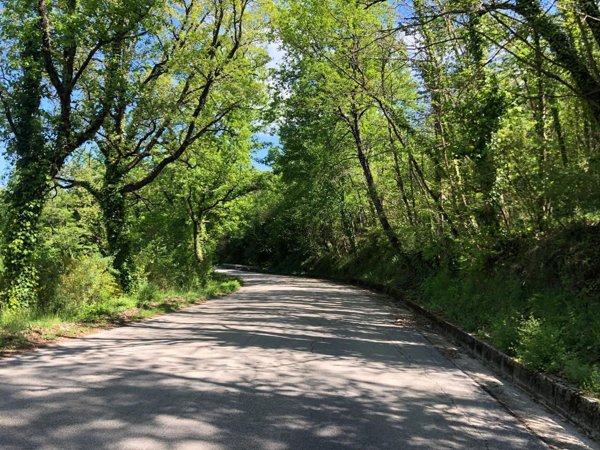 terreno agricolo in vendita a Sessa Cilento