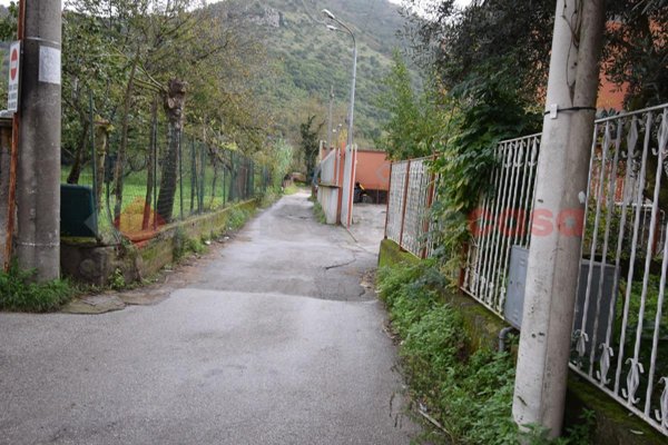 immagine annuncio 0 di 9