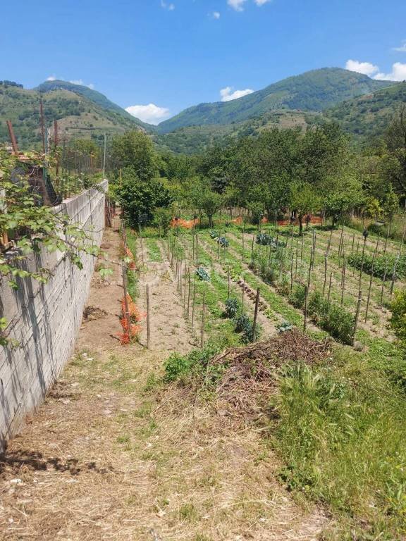 terreno agricolo in vendita a Siano