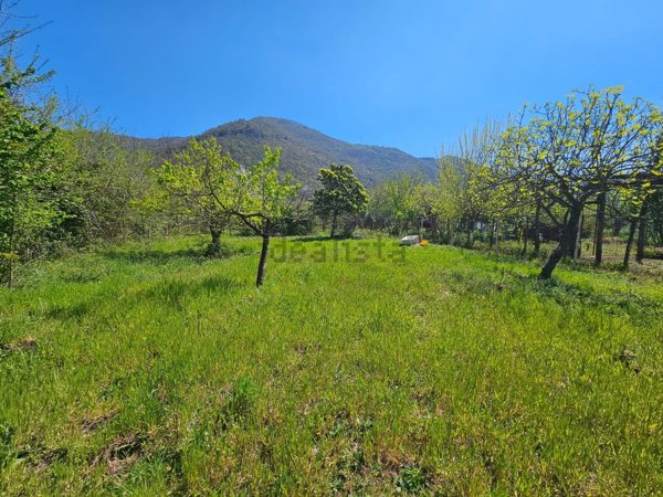 terreno agricolo in vendita a Siano