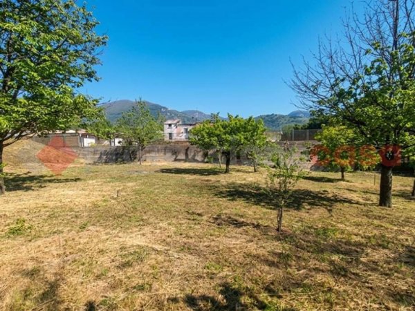 terreno agricolo in vendita a Siano