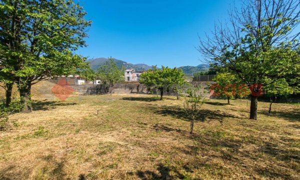 terreno agricolo in vendita a Siano