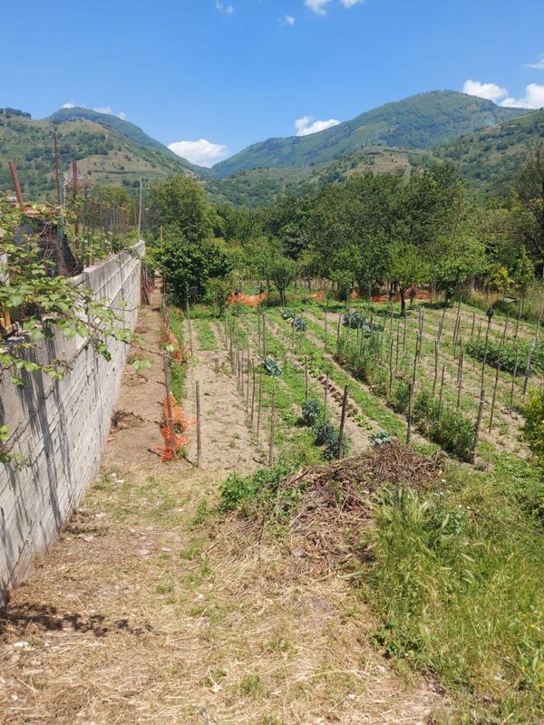 terreno in vendita a Siano