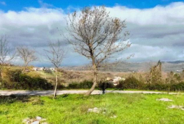 terreno agricolo in vendita a Sicignano degli Alburni