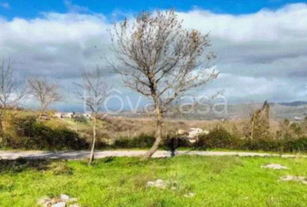 terreno agricolo in vendita a Sicignano degli Alburni
