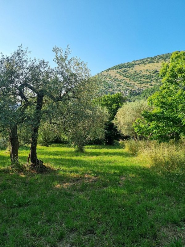 casale in vendita a Sicignano degli Alburni in zona Scorzo