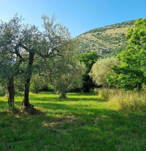 terreno agricolo in vendita a Sicignano degli Alburni in zona Scorzo
