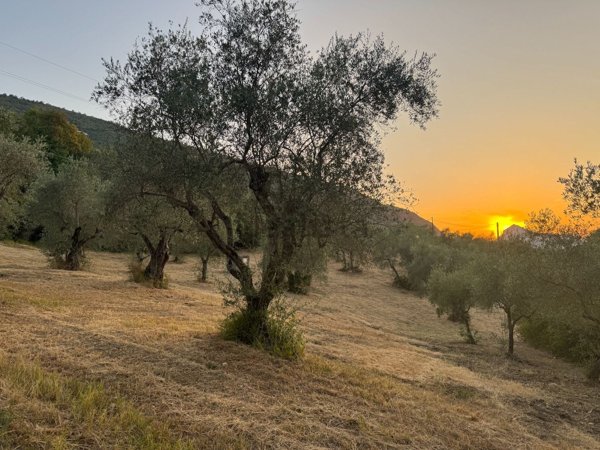casa indipendente in vendita a Sicignano degli Alburni