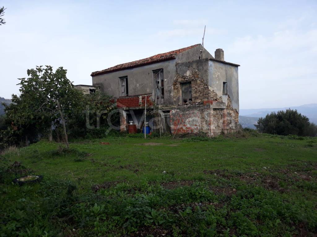 terreno agricolo in vendita a Stella Cilento