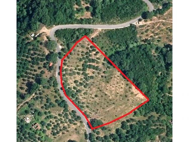 terreno agricolo in vendita a Stella Cilento