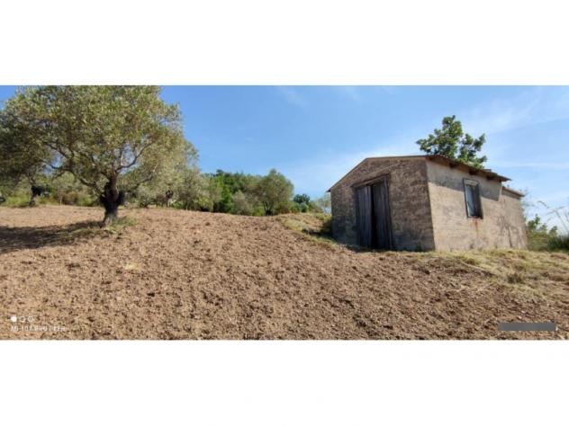 terreno agricolo in vendita a Stella Cilento