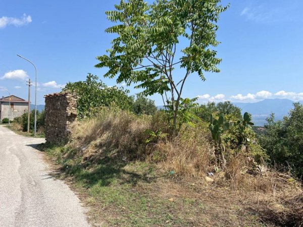 terreno agricolo in vendita a Stella Cilento