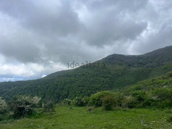 rudere in vendita a Stella Cilento