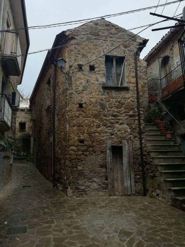 esavano in vendita a Stella Cilento