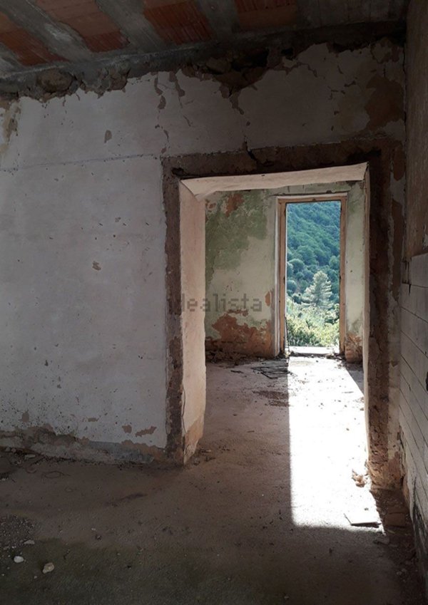 pentavano in vendita a Stella Cilento