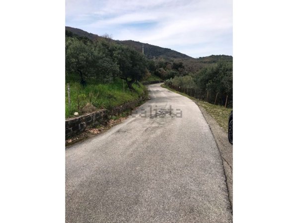 terreno agricolo in vendita a Stella Cilento