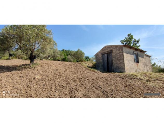 terreno agricolo in vendita a Stella Cilento