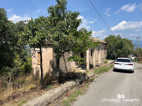 esavano in vendita a Stella Cilento