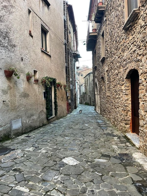 casa indipendente in vendita a Stio