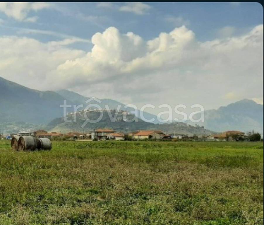 terreno agricolo in vendita a Teggiano