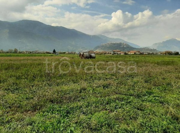 terreno agricolo in vendita a Teggiano