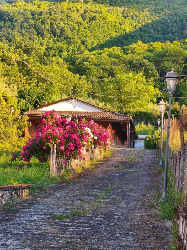 casa indipendente in vendita a Teggiano