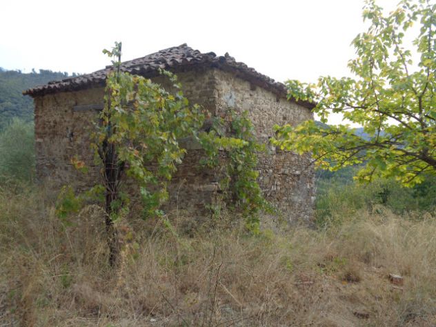 terreno agricolo in vendita a Torchiara