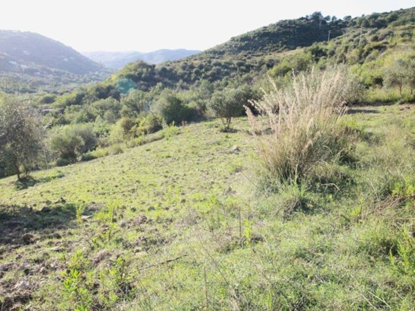 terreno agricolo in vendita a Torchiara
