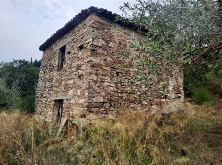 terreno agricolo in vendita a Torchiara